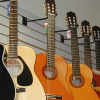 Fretted Repair Page
