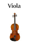 viola